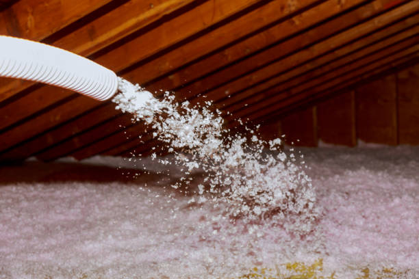 Best Commercial Insulation in Groveland, FL